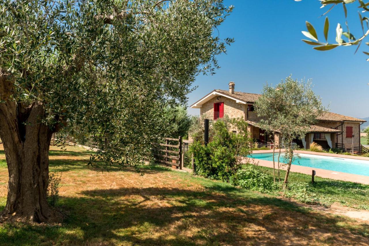 Il Barbagianni Bed & Breakfast Montepescali Exterior photo